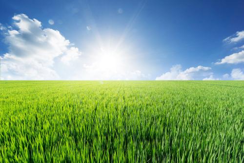 赞美草原的寓言