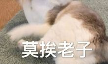 抖音特别酷的句子