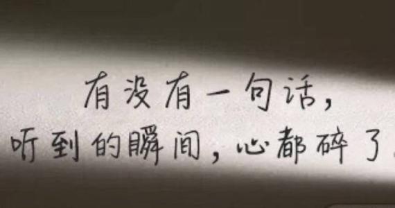 真实的情感句子