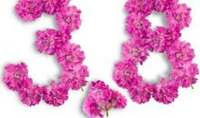 三八节的祝福词