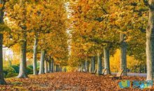 山上风景比喻句