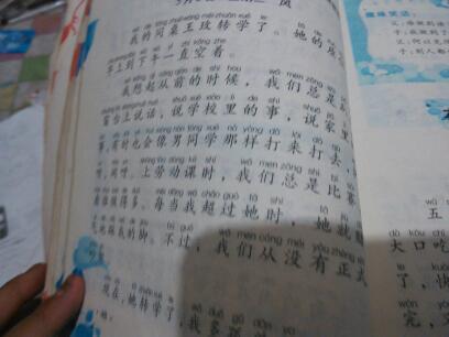 用小动物动作写句子