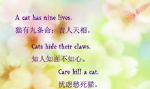 形容实际行动的谚语