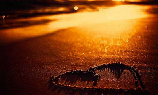 爱一个人真的很谦虚，太小了，不值得一提，没人在乎。 1个