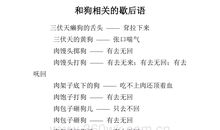 和莲有关的歇后语