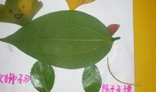 树叶有关的比喻句