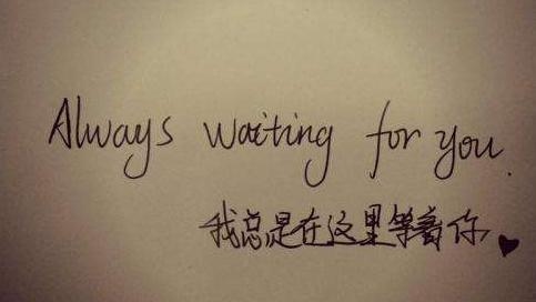 渴望爱情的句子