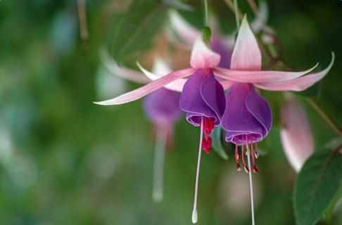 简短而悲伤的句子