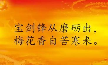 顽强奋斗的名言