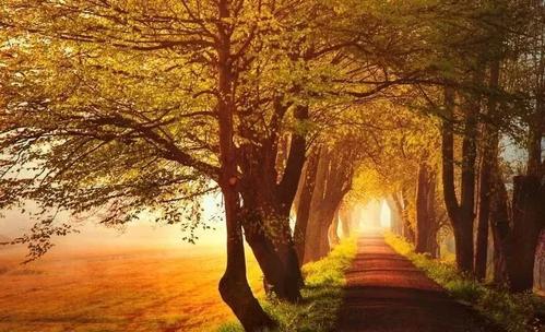 自然风光的隐喻