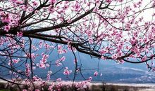 精辟优美的比喻句