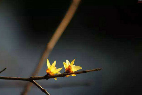 一个好的态度是跟随你的心，而不是让自己尴尬1