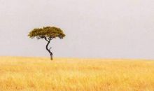 朋友圈发好冷的句子