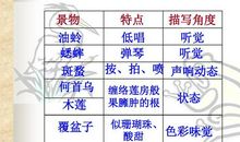 描写珊瑚比喻句