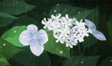 排比比喻句大全