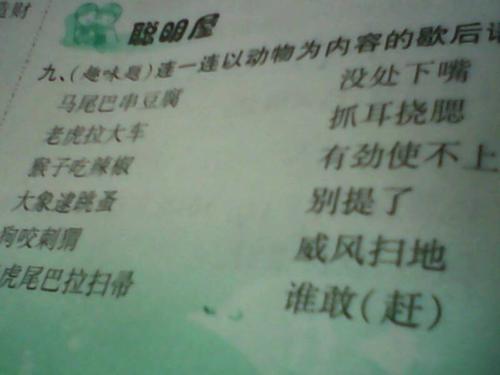 在马背上悬挂手掌