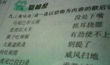 马背上挂掌歇后语