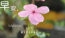 女朋友下班问候语