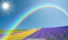 彩虹的句子短唯美