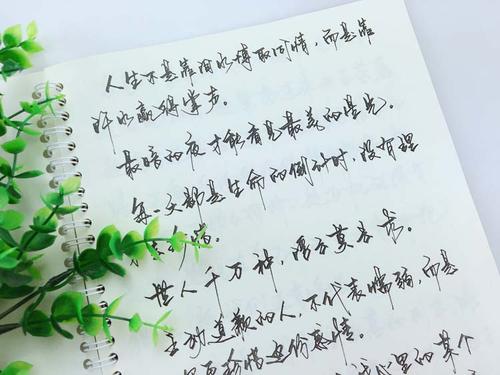 经典的4个字符的报价