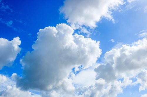 希望成真的谚语