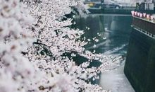 好好放松心情的句子