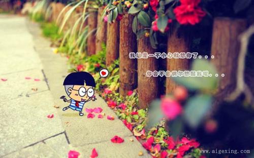 拥有您喜欢的经典句子