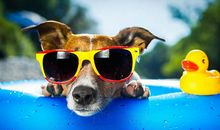 2020qq心情经典语录