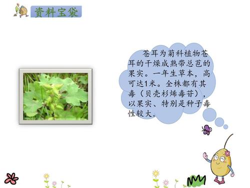 昆虫的拟人化句子