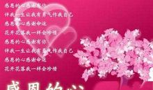 节日祝福语简单