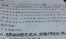 用四个有造句大全