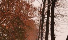 雪中散步的句子