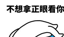 鄙视不跟小人计较的话