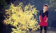 白桦林的比喻句