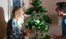 忽然七日经典句子