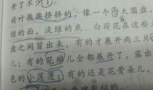 写高兴的比喻句