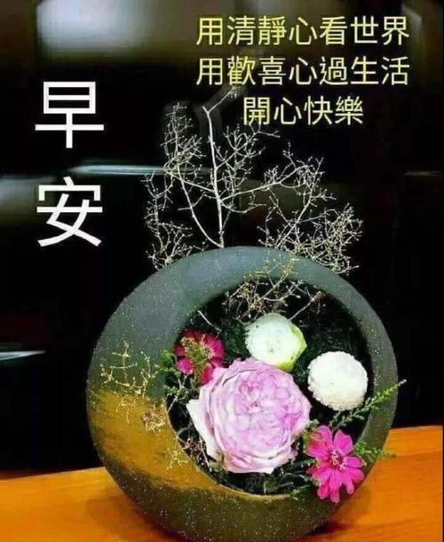 2020年最经典的句子