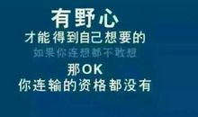 讽刺微商的经典句子