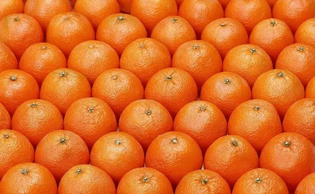 关于桔子的寓言