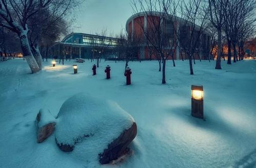 关于初雪的句子