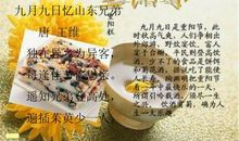 传统节日诗句小学