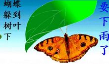 风的天气谚语俗语