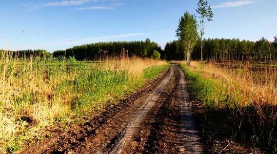 关于农作物的谚语