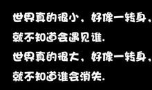 经典表白爱情语录