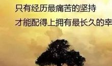 关于激励成功的句子