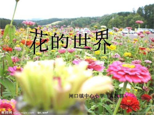 描述玫瑰的寓言句子