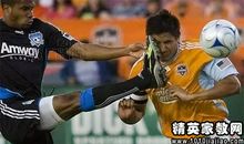 粪堆上长灵芝歇后语