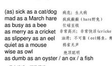 有关自然现象的英语谚语