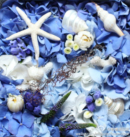 知己的生日祝福