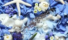 知己的生日祝福语